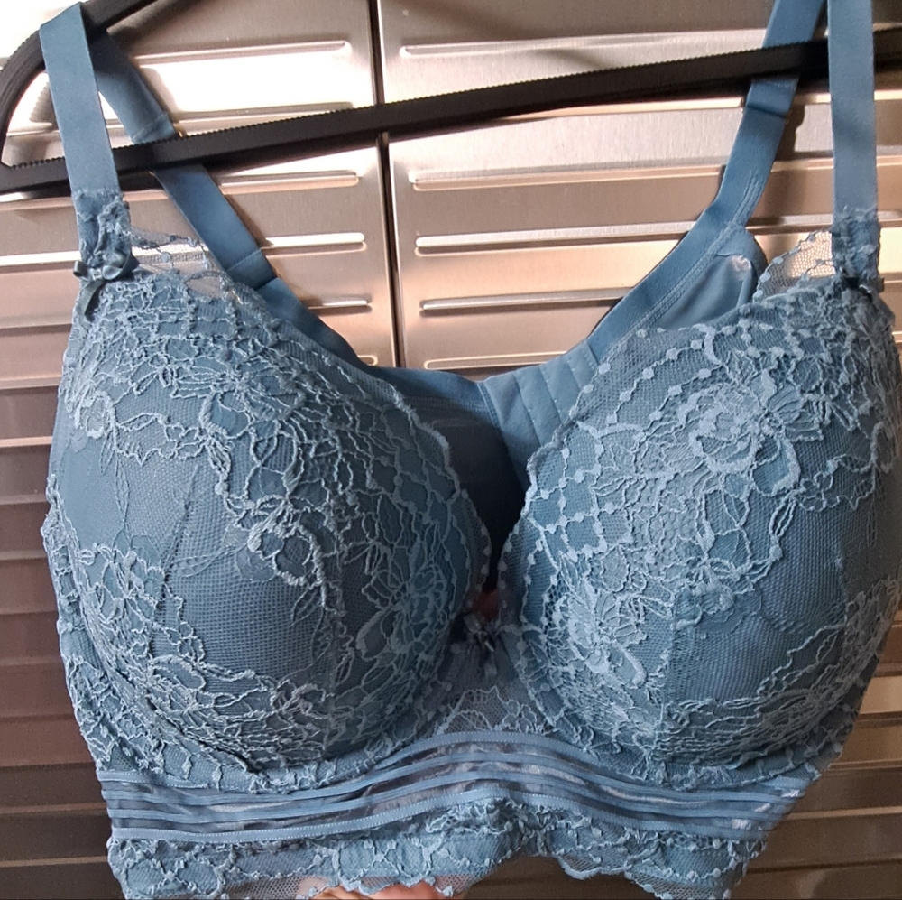 Lane bryant bra